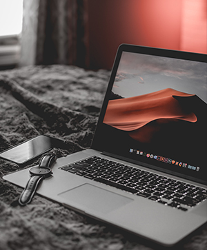 Курс по WordPress: официальные документы по итогам